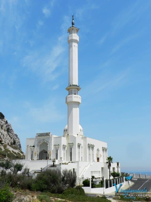 Moschea Ibrahim-al-Ibrahim