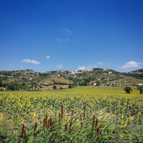 Corciano
